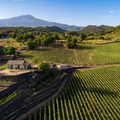 Friday 4th September. Wines Of Sicily Tasting.